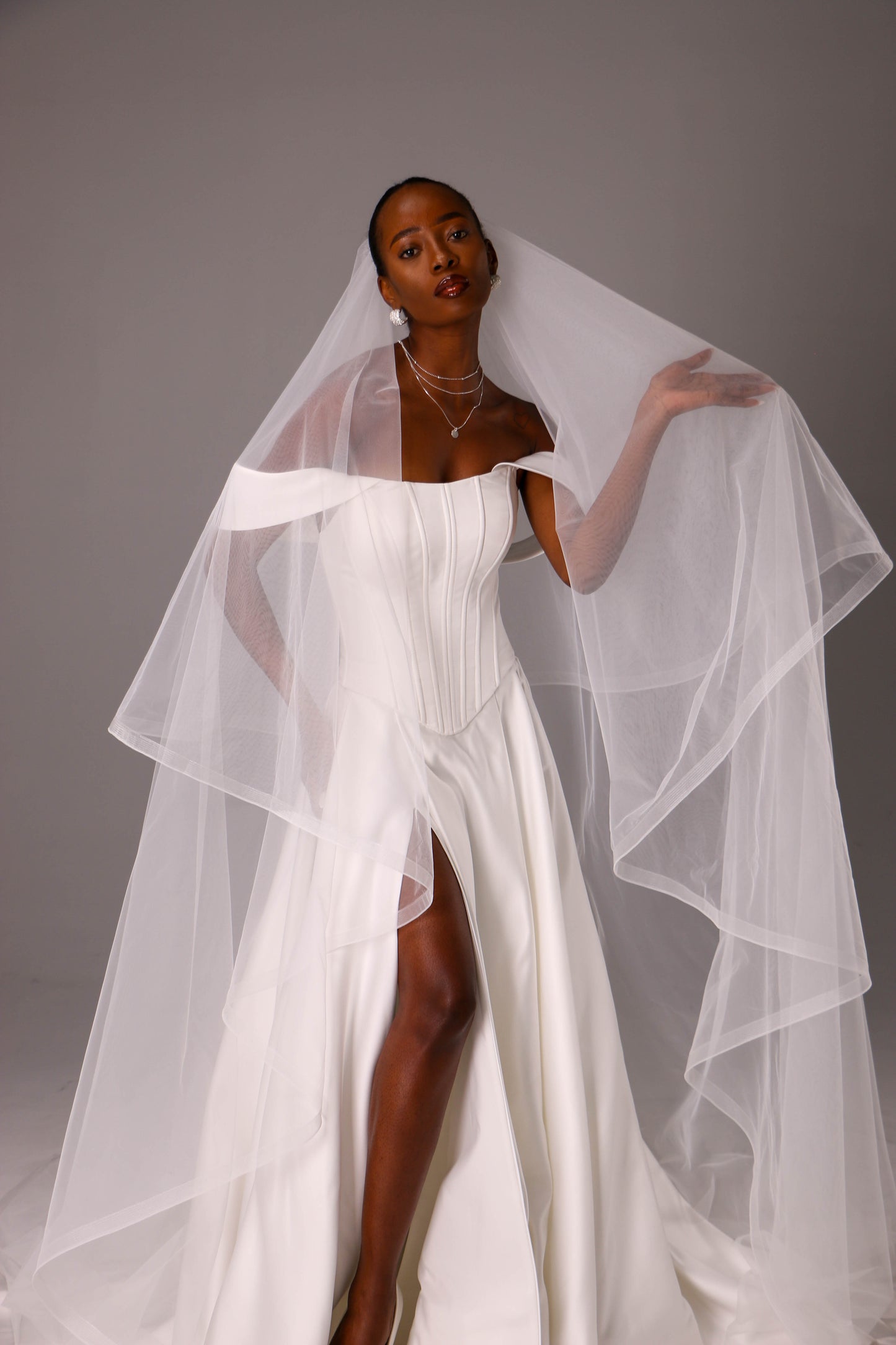 Elegant Two Tier Veil with Horsehair Edge