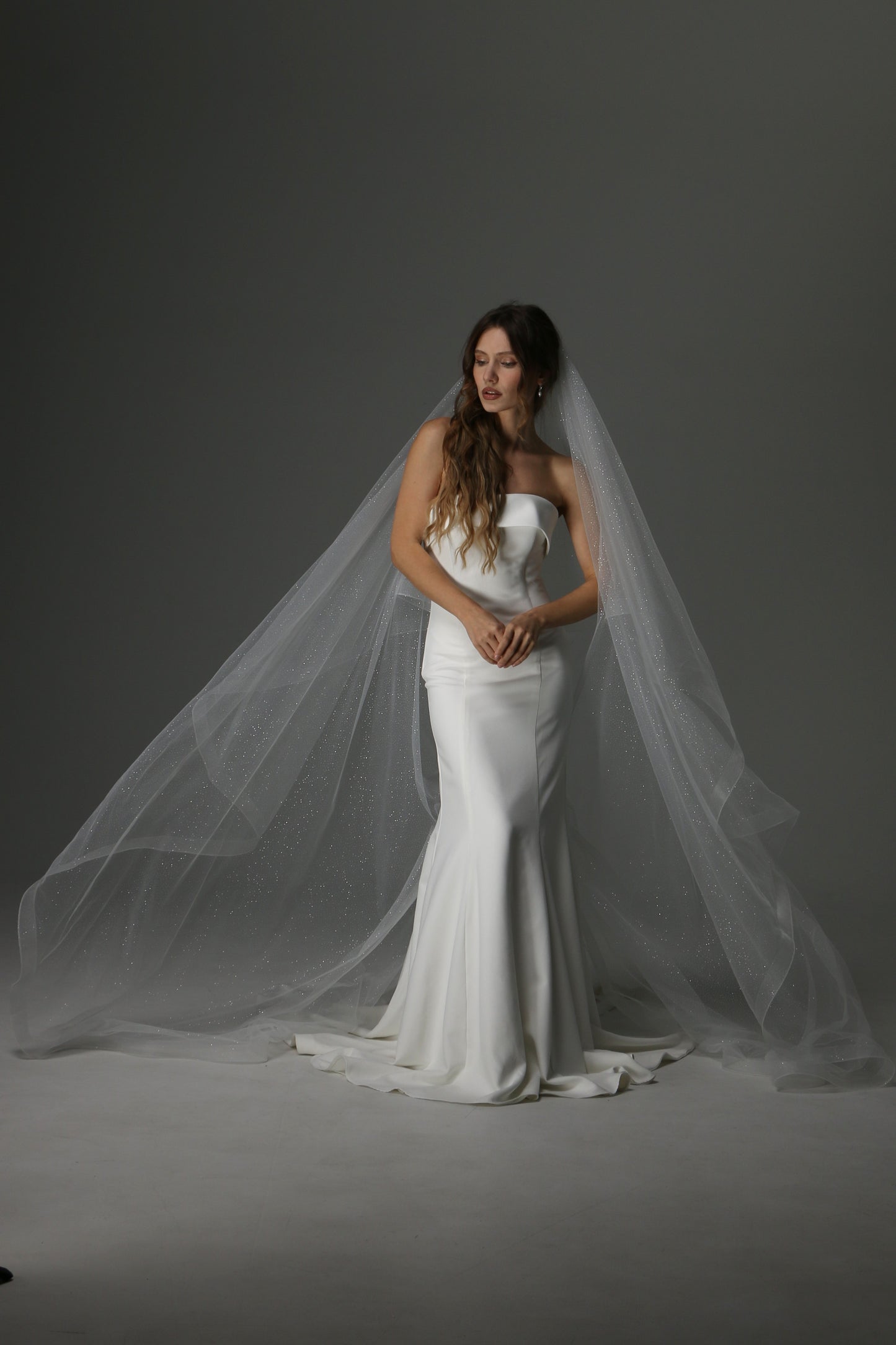 Glitter Two Tier Wedding Veil with Horsehair Edge – Sparkly Bridal Veil - M1075
