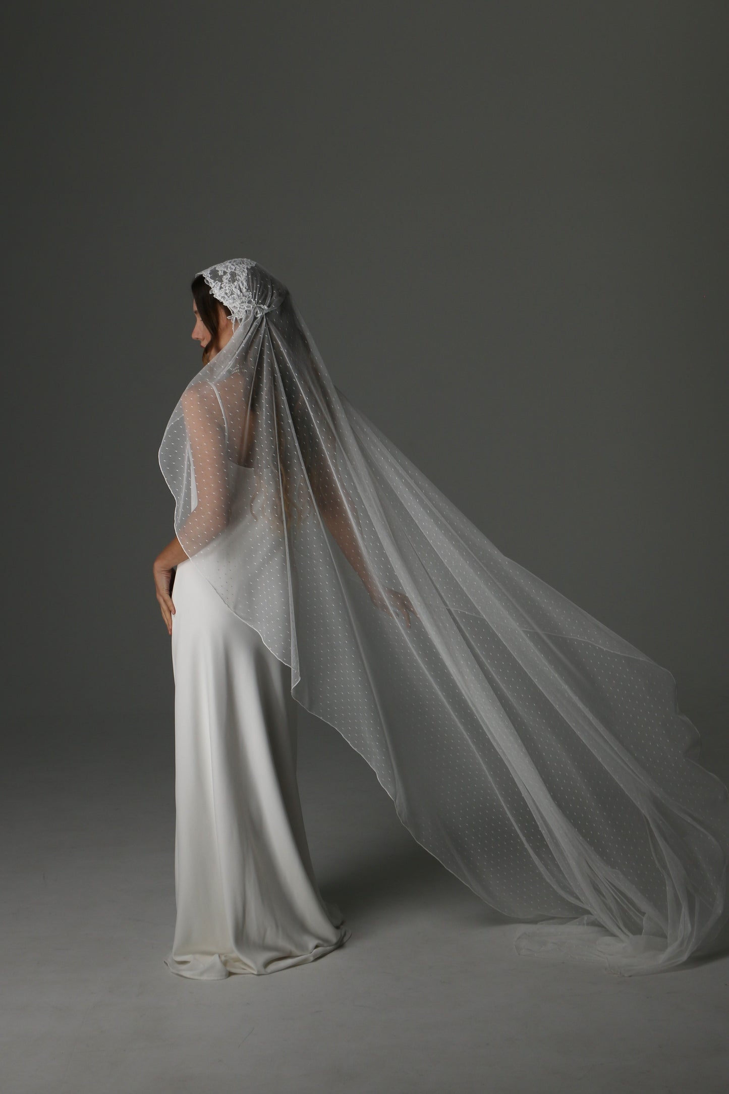 Romantic Juliet Cap Wedding Veil with Lace Appliqués – Single Tier Bridal Veil - M1081