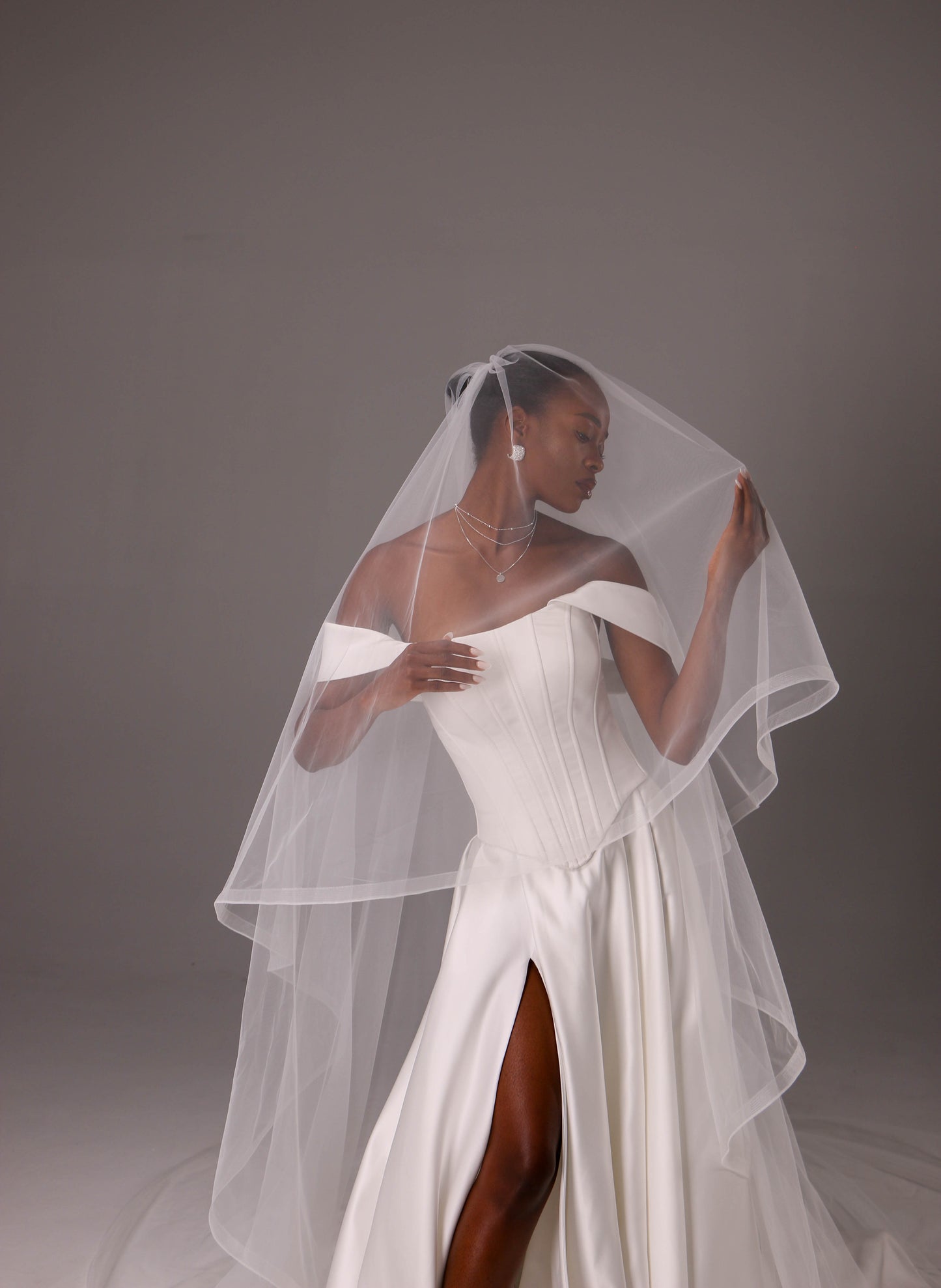 Elegant Two Tier Veil with Horsehair Edge