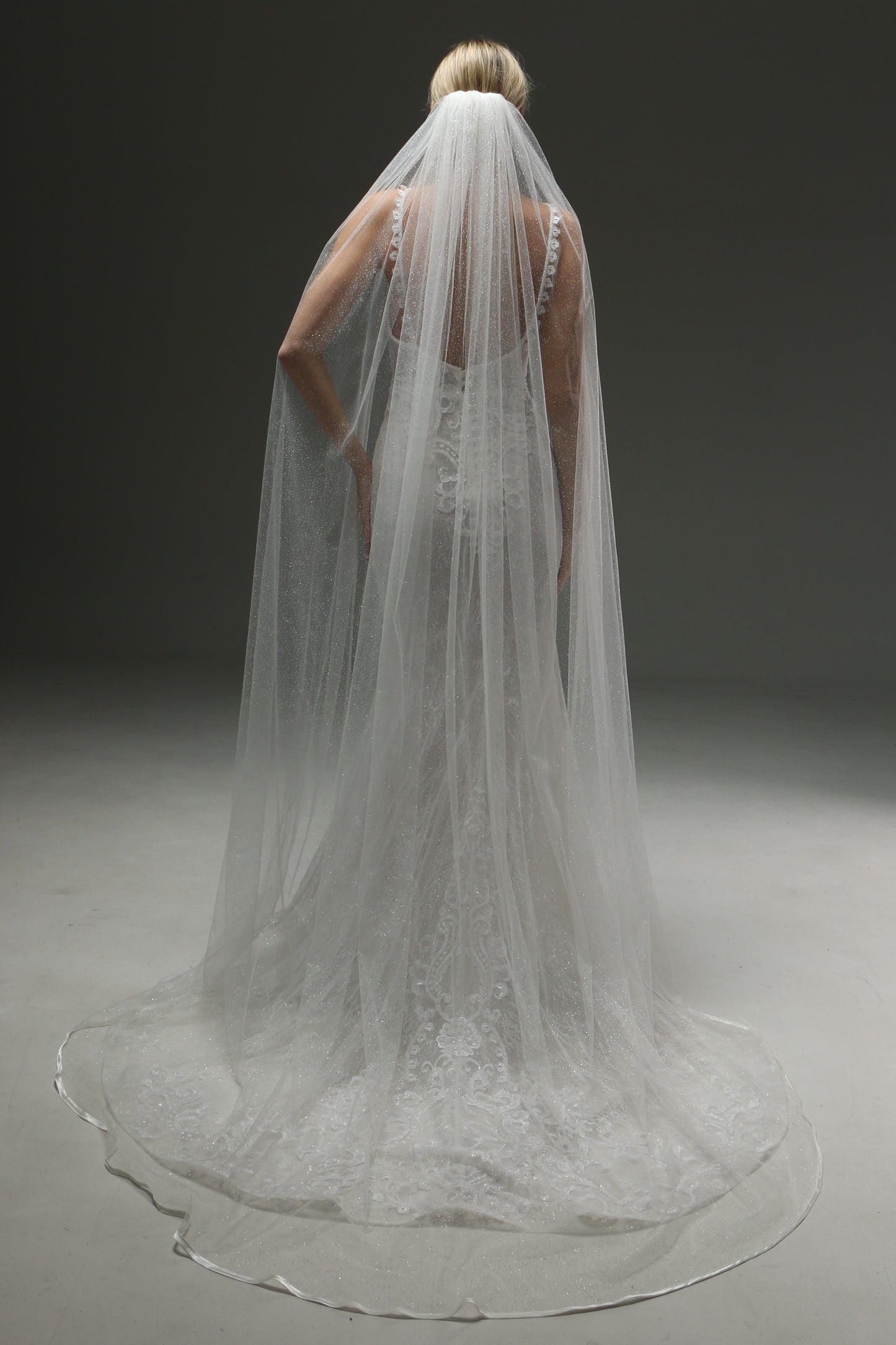 Cathedral Veil Soft Shine - One Layer Wedding Veil with Satin Edge, Sparkly Tulle Veil, Fingertip or Chapel Length