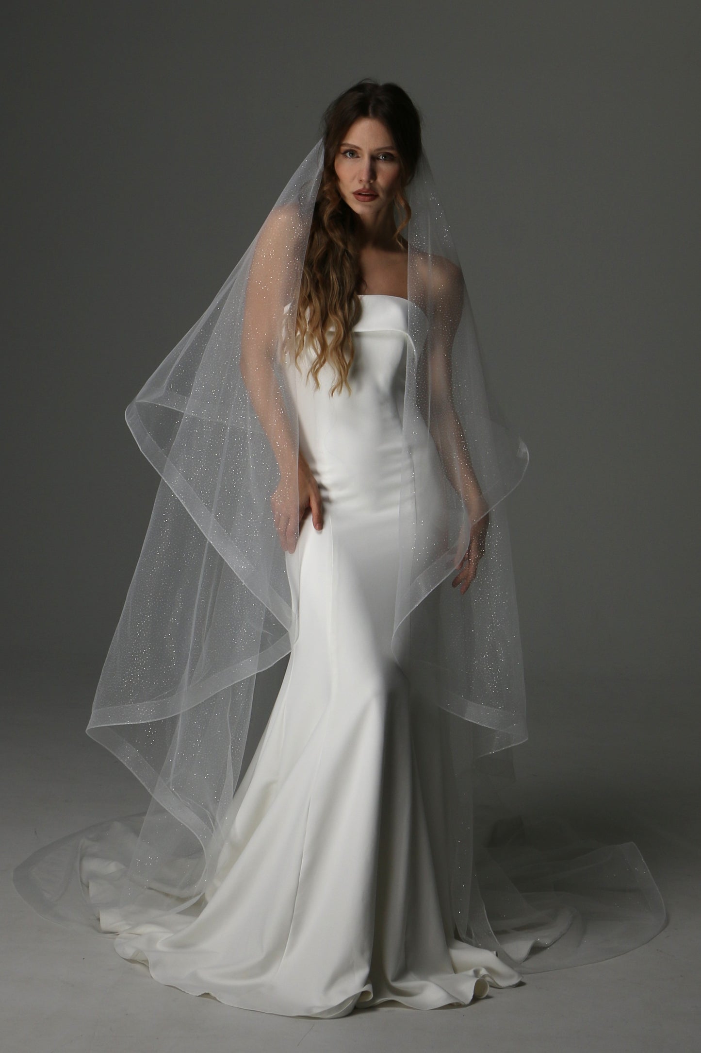 Glitter Two Tier Wedding Veil with Horsehair Edge – Sparkly Bridal Veil - M1075