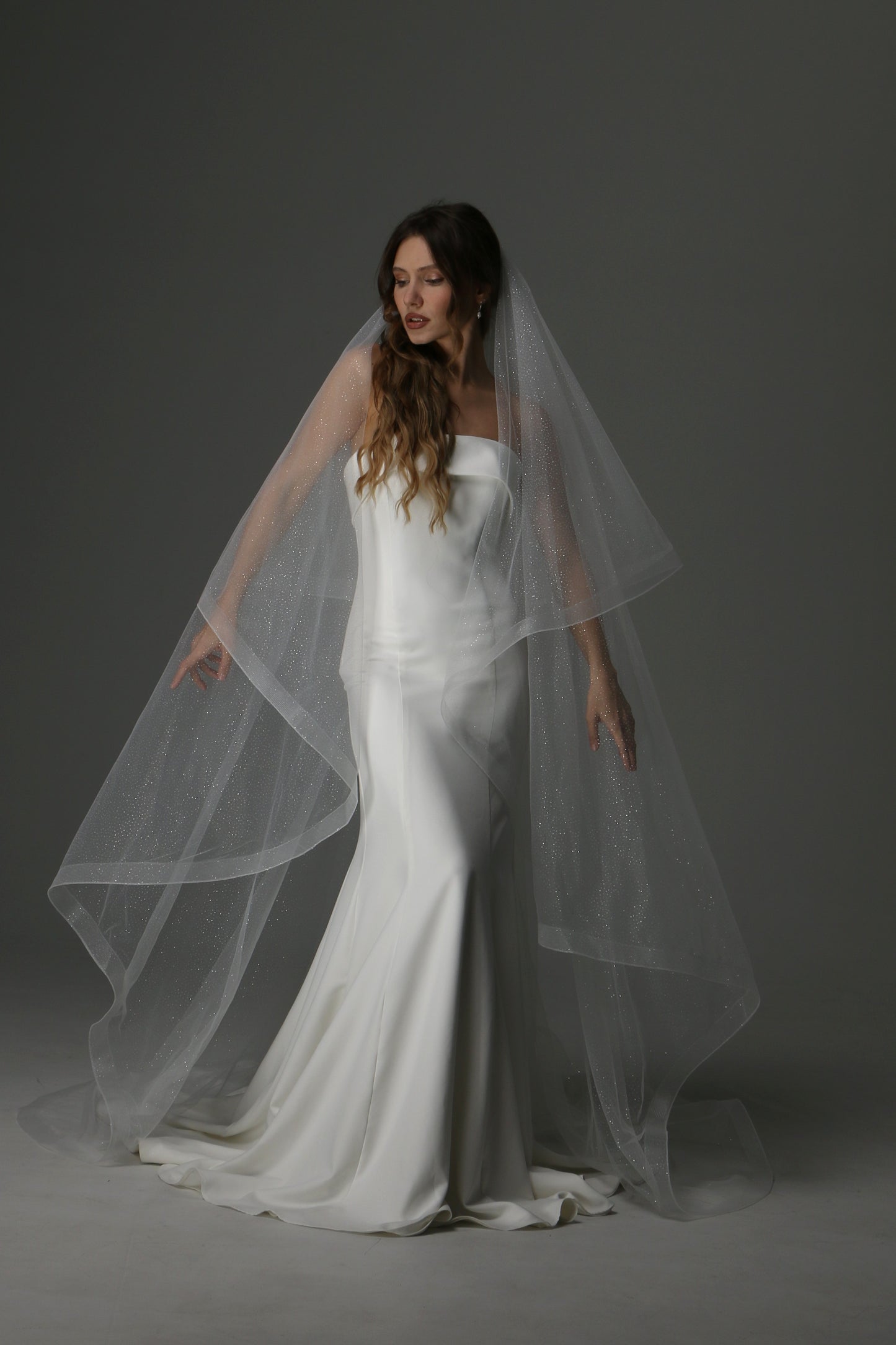 Glitter Two Tier Wedding Veil with Horsehair Edge – Sparkly Bridal Veil - M1075