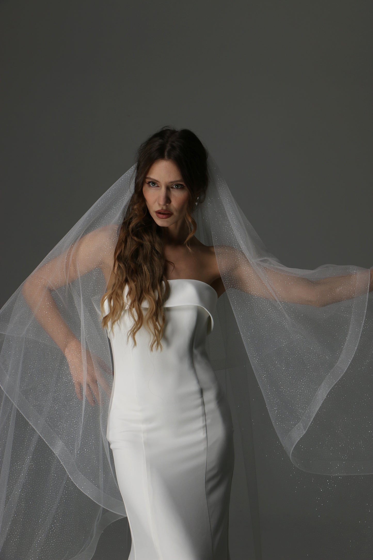 Glitter Two Tier Wedding Veil with Horsehair Edge – Sparkly Bridal Veil - M1075