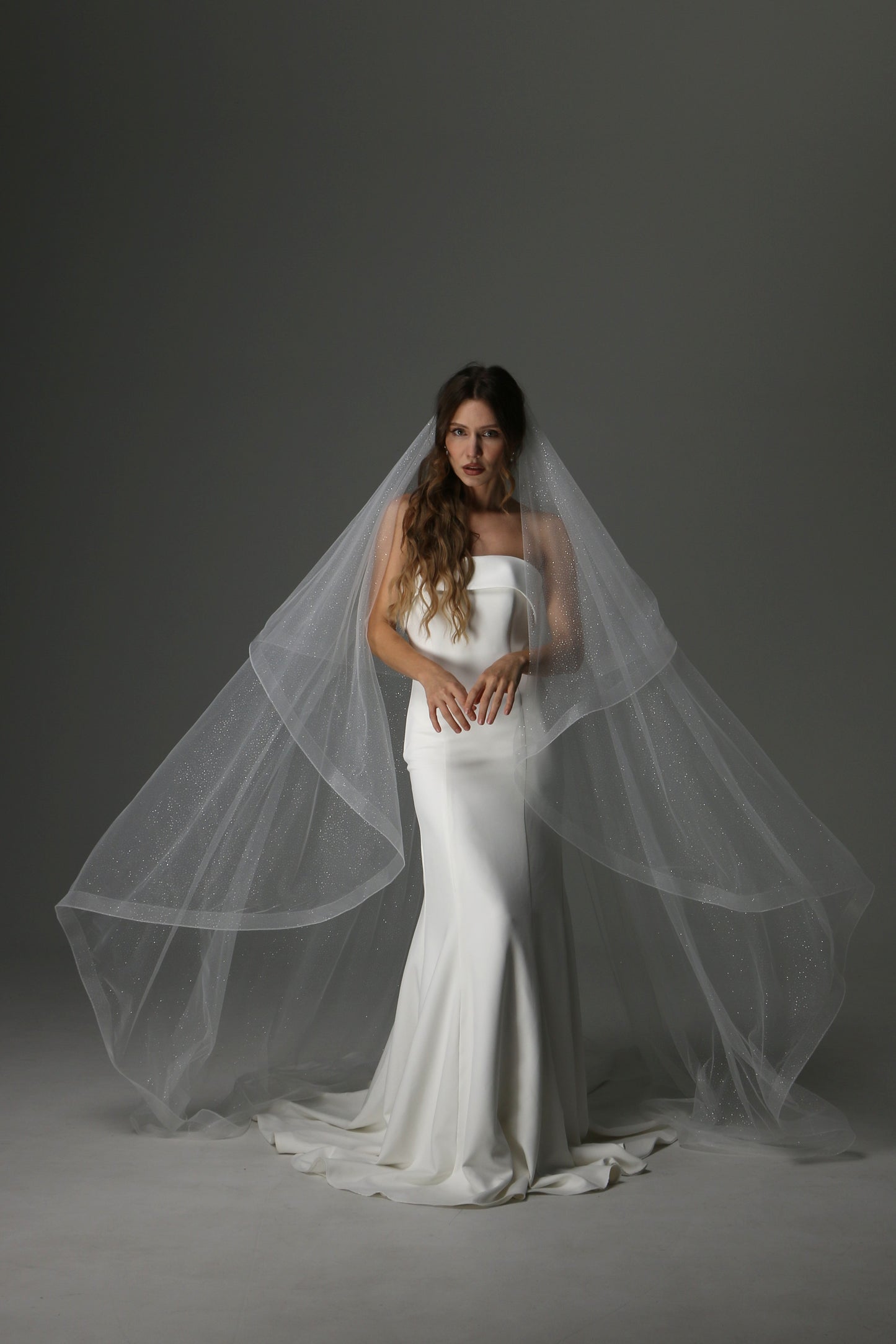 Glitter Two Tier Wedding Veil with Horsehair Edge – Sparkly Bridal Veil - M1075